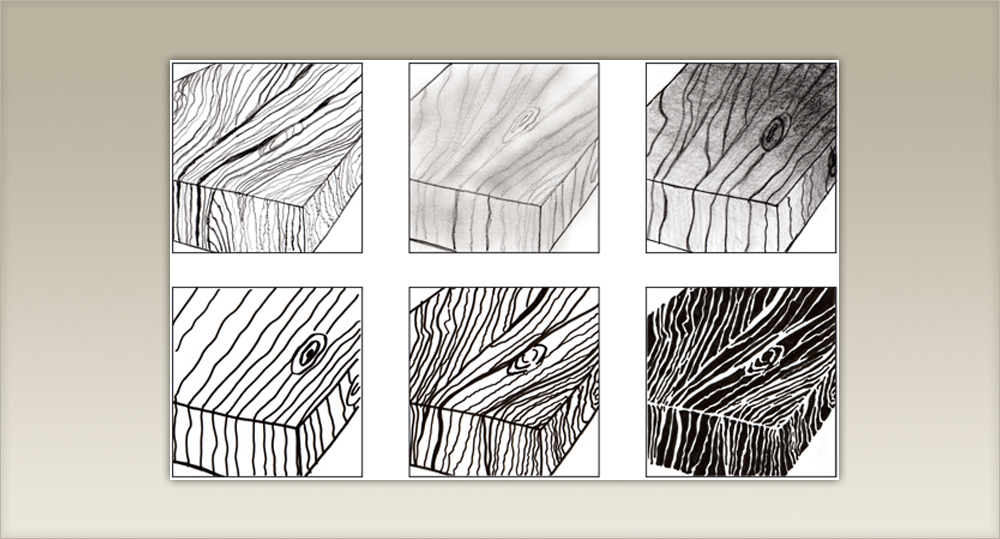 Zeichnen - Textur eines Naturobjekts